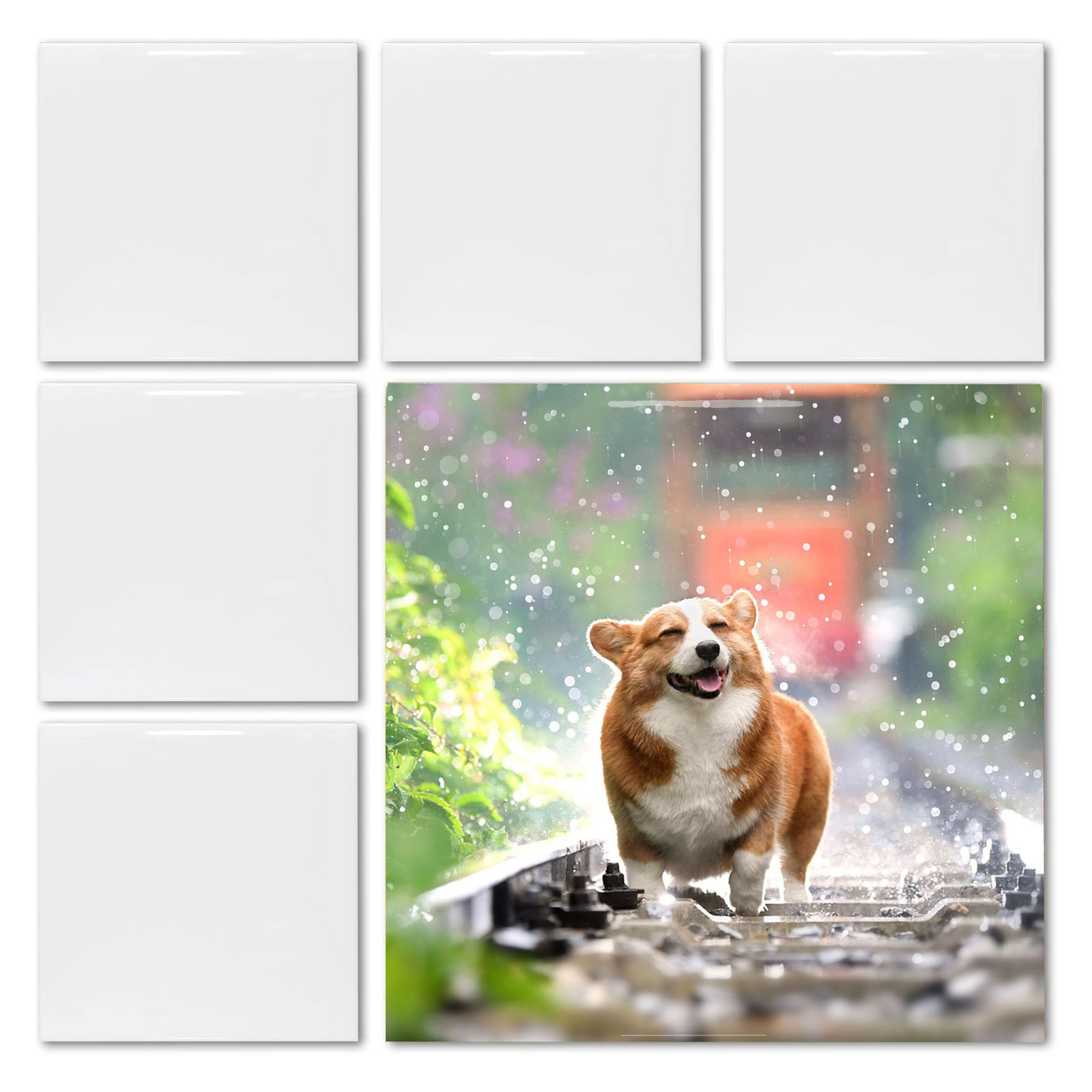 20 قطعة بلاطة مربعة بيضاء لامع - مراجعة Ceramic Tile Blank وسعره